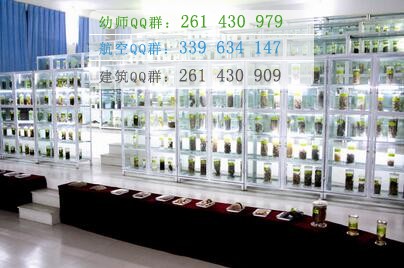 四川中醫(yī)藥高等??茖W(xué)校
