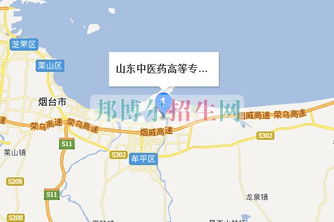 山東中醫(yī)藥高等?？茖W(xué)校