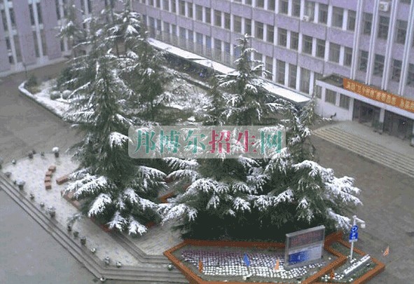 上海醫(yī)療器械高等?？茖W(xué)校