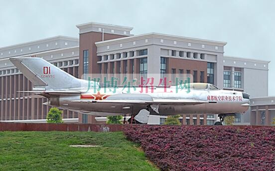 關(guān)于航空服務的大專學校