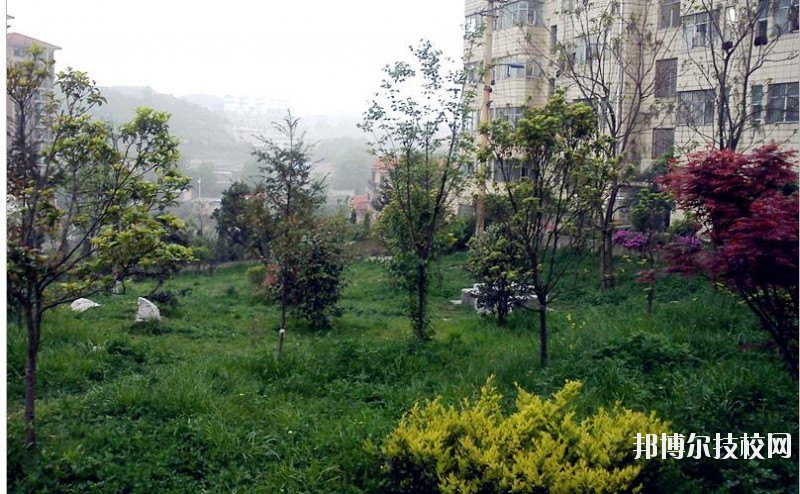 貴陽長城職業(yè)學(xué)校怎么樣、好不好