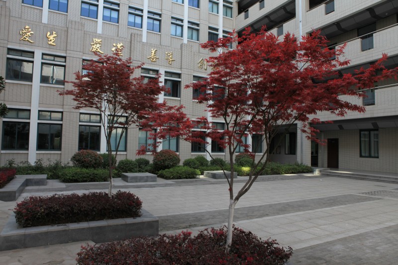 南京衛(wèi)生高等職業(yè)技術學校怎么樣、好不好