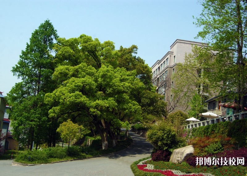 中國美術(shù)學(xué)院附屬中等美術(shù)學(xué)校2020年報(bào)名條件、招生要求、招生對象