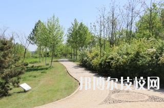 石家莊中英航空中等專業(yè)學(xué)校2020年報名條件、招生要求、招生對象