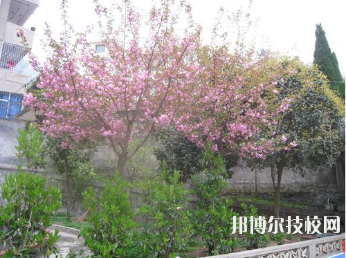 嵐皋縣中等職業(yè)技術學校2020年報名條件、招生要求、招生對象