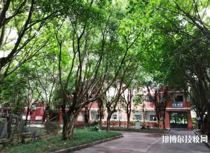 重慶舞蹈學(xué)校2020年報名條件、招生要求、招生對象