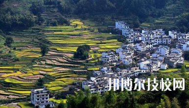 江西婺源茶葉學校2020年報名條件、招生要求、招生對象