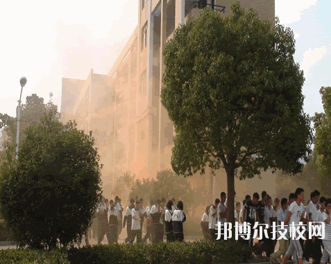 臨海市高級(jí)職業(yè)中學(xué)2020年招生辦聯(lián)系電話(huà)