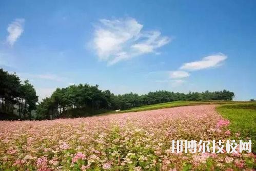 畢節(jié)七星關中等職業(yè)學校怎么樣、好不好