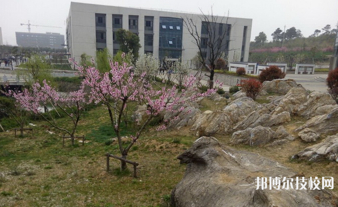 鎮(zhèn)江技師學(xué)院2020年報名條件、招生要求、招生對象