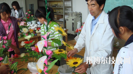 臨夏農業(yè)學校2020年招生辦聯(lián)系電話