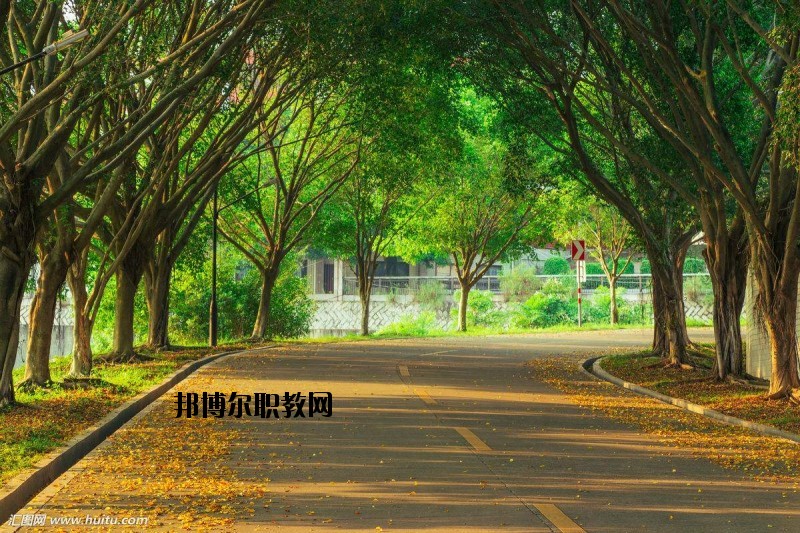 仙桃金園職業(yè)高級(jí)中學(xué)2020年報(bào)名條件、招生要求、招生對(duì)象