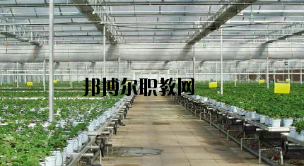 隴南農業(yè)學校怎么樣、好不好