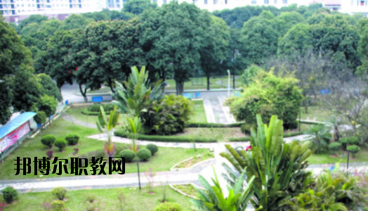 廣西百色農(nóng)業(yè)學校2020年報名條件、招生要求、招生對象 