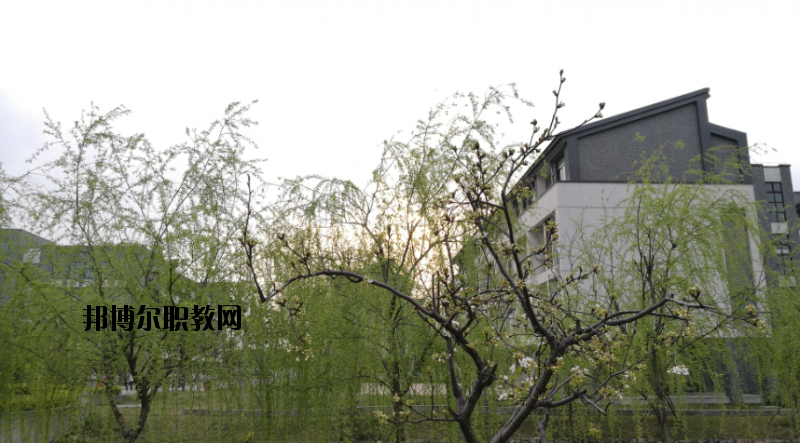 蘇州高等幼兒師范學校2020年有哪些專業(yè)