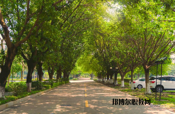河南團(tuán)校2021年報(bào)名條件、招生要求、招生對(duì)象