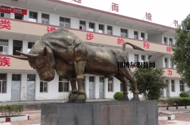 興國(guó)中等專(zhuān)業(yè)學(xué)校2020年招生辦聯(lián)系電話(huà)