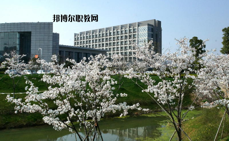 中國藥科大學(xué)2020年報(bào)名條件、招生要求、招生對象