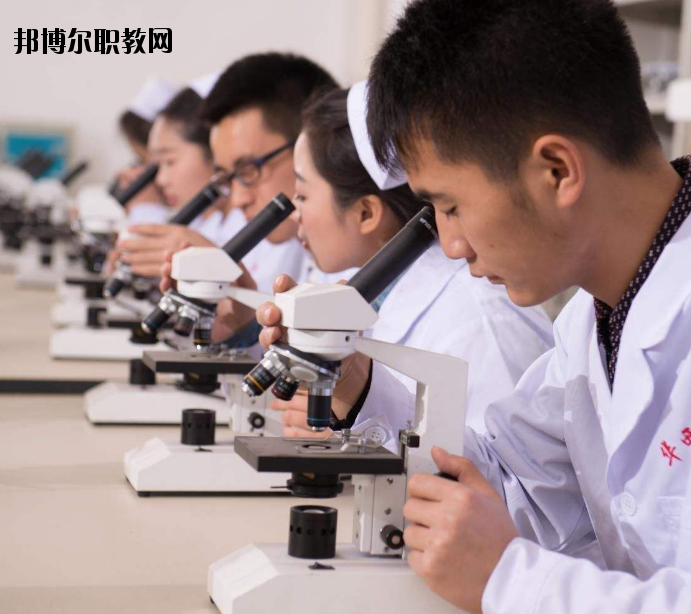 焦作護理學(xué)校怎么樣、好不好