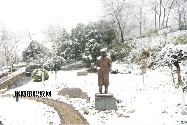 南京工業(yè)大學(xué)2020年報名條件、招生要求、招生對象