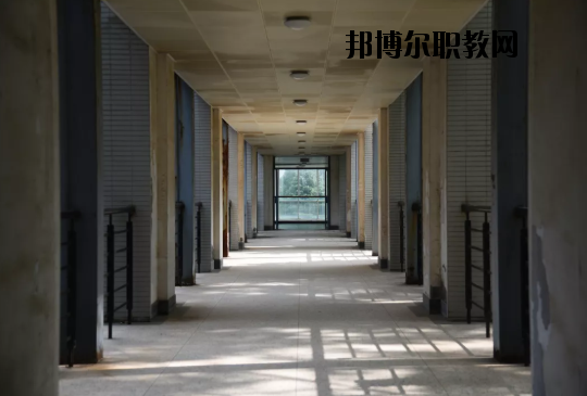 東南大學(xué)2020年報(bào)名條件、招生要求、招生對(duì)象
