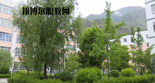 文縣職業(yè)技術(shù)學(xué)校2020年報(bào)名條件、招生要求、招生對(duì)象
