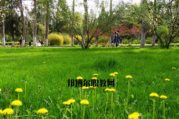 雙江縣職教中心2020年報(bào)名條件、招生要求、招生對象