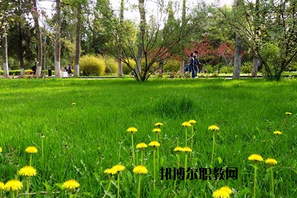 雙江縣職教中心怎么樣、好不好