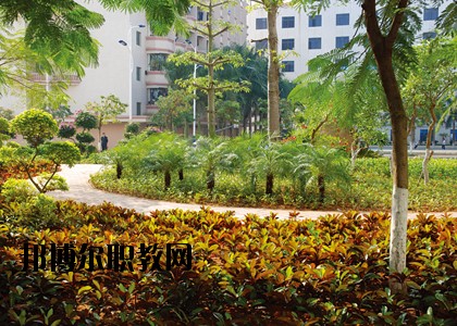 湛江技師學(xué)院怎么樣、好不好