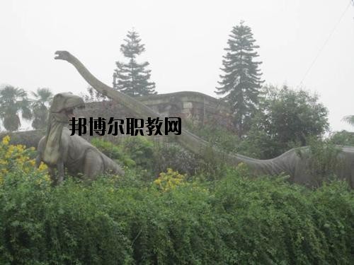 自貢三星職業(yè)技術(shù)學(xué)校2020年報(bào)名條件、招生要求、招生對(duì)象