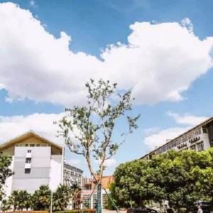 南京科技職業(yè)學院怎么樣、好不好