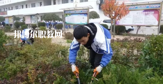 秦安縣古城農(nóng)業(yè)中學(xué)怎么樣、好不好