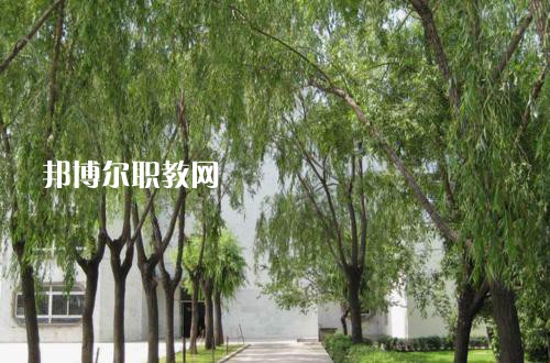 新疆喀什地區(qū)衛(wèi)生學(xué)校2021年報(bào)名條件、招生要求、招生對(duì)象