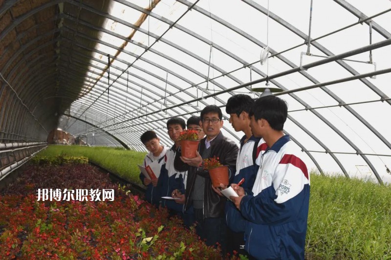 靖遠(yuǎn)職業(yè)教育中心2022年學(xué)費、收費多少