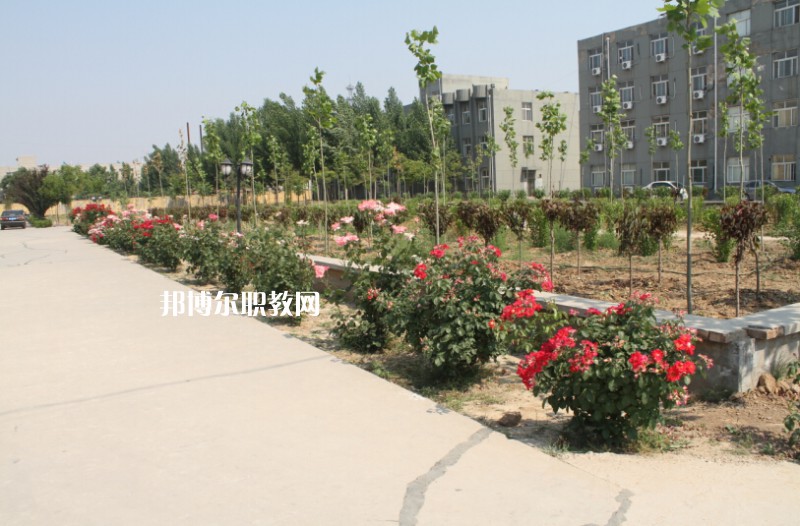 武強綜合職業(yè)技術(shù)教育中心2022年報名條件、招生要求、招生對象