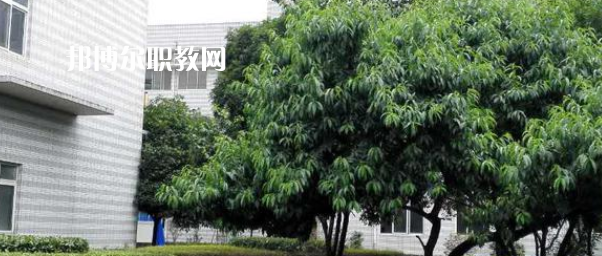 成都市中山職業(yè)技術(shù)學(xué)校2022年報名條件、招生要求、招生對象