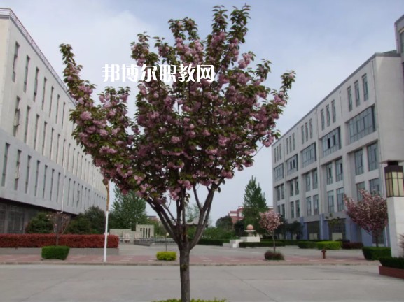 陳倉區(qū)職業(yè)教育中心2022年報名條件、招生要求、招生對象
