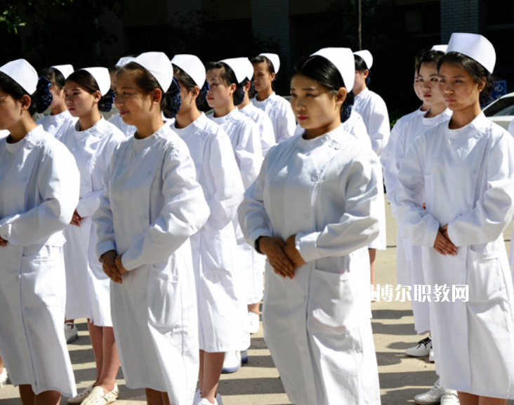 石家莊和平醫(yī)學(xué)中等專業(yè)學(xué)校2022年招生錄取分數(shù)線