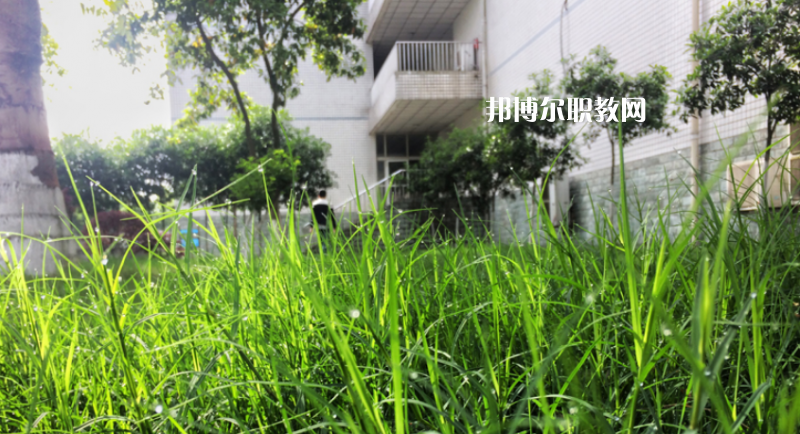 樂山計(jì)算機(jī)學(xué)校2022年學(xué)費(fèi)、收費(fèi)多少