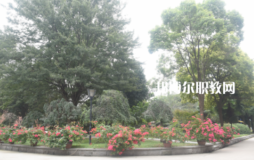 武漢體育舞蹈藝術(shù)學(xué)校2022年有哪些專(zhuān)業(yè)