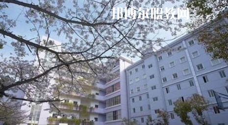 武漢體育舞蹈藝術(shù)學校2022年怎么樣、好不好