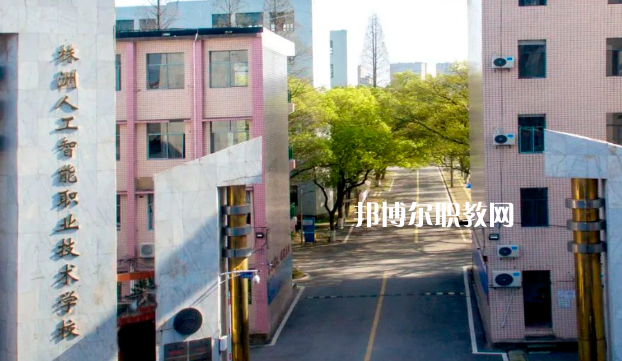 株洲人工智能職業(yè)技術(shù)學校