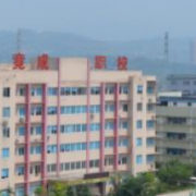 重慶市渝北區(qū)竟成中學校