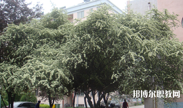 寶雞技師學(xué)院地址，乘車路線