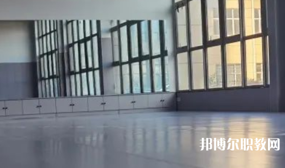 2023秦皇島市藝新舞蹈學(xué)校招生計劃 招生人數(shù)是多少(附要求、條件、對象)