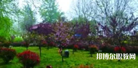 2023隆堯縣職業(yè)技術(shù)教育中心招生計劃 招生人數(shù)是多少(附要求、條件、對象)