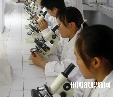 鄭州畜牧獸醫(yī)中等專業(yè)學校2023年招生錄取分數(shù)線(2024參考)