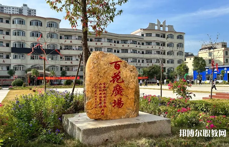 大化瑤族自治縣職業(yè)技術(shù)學校招生簡章2024年