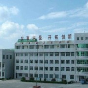 新賓縣中等職業(yè)技術(shù)專(zhuān)業(yè)學(xué)校