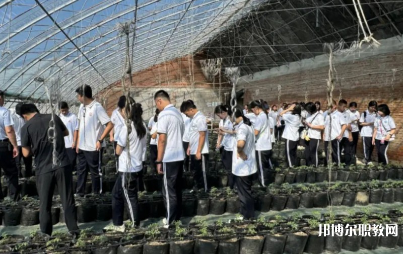 2024營口市農(nóng)業(yè)工程學校招生計劃 招生人數(shù)是多少(附要求、條件、對象)